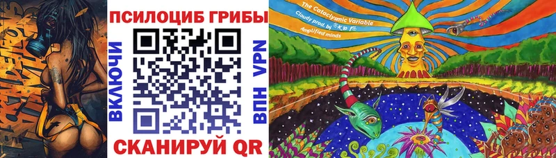 Псилоцибиновые грибы Psilocybe Томилино