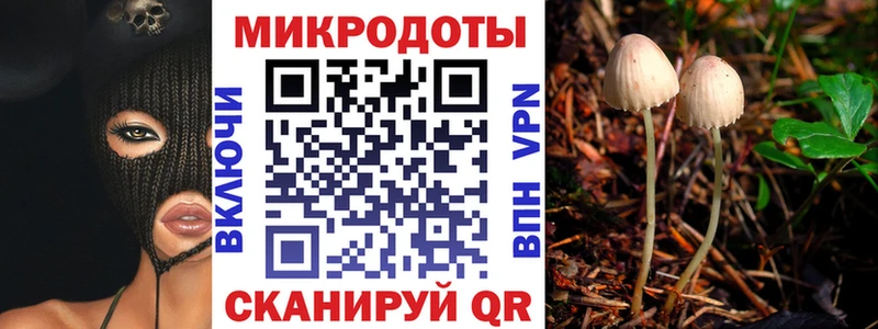 Псилоцибиновые грибы прущие грибы  блэк спрут ССЫЛКА  Томилино 